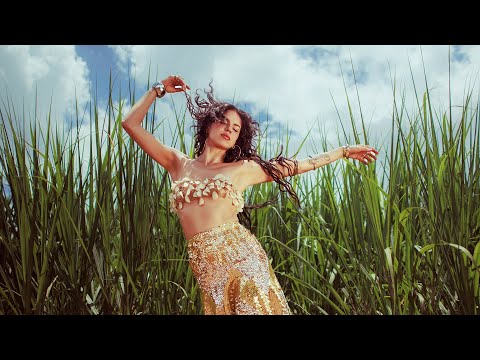 Luê - Dançadeira do Arrozal feat. @LiaSophiaoficial (Visualizer)