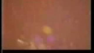 LENE LOVICH THE FREEZE