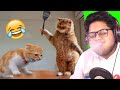 Try Not To Laugh Challenge But WATER In My Mouth Ayush More