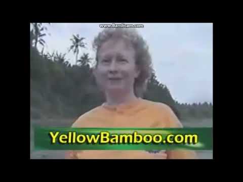 Chi Power WooWoo fails   Fantasy vs Reality