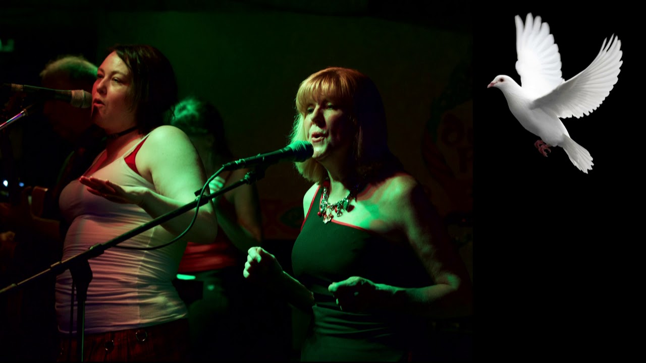 Hire Red Shoes Band Dance Band in Portland, Oregon