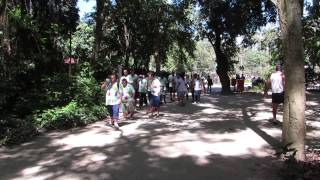 preview picture of video 'I Caminhada Ecológica 2013 - Projeto Semente'