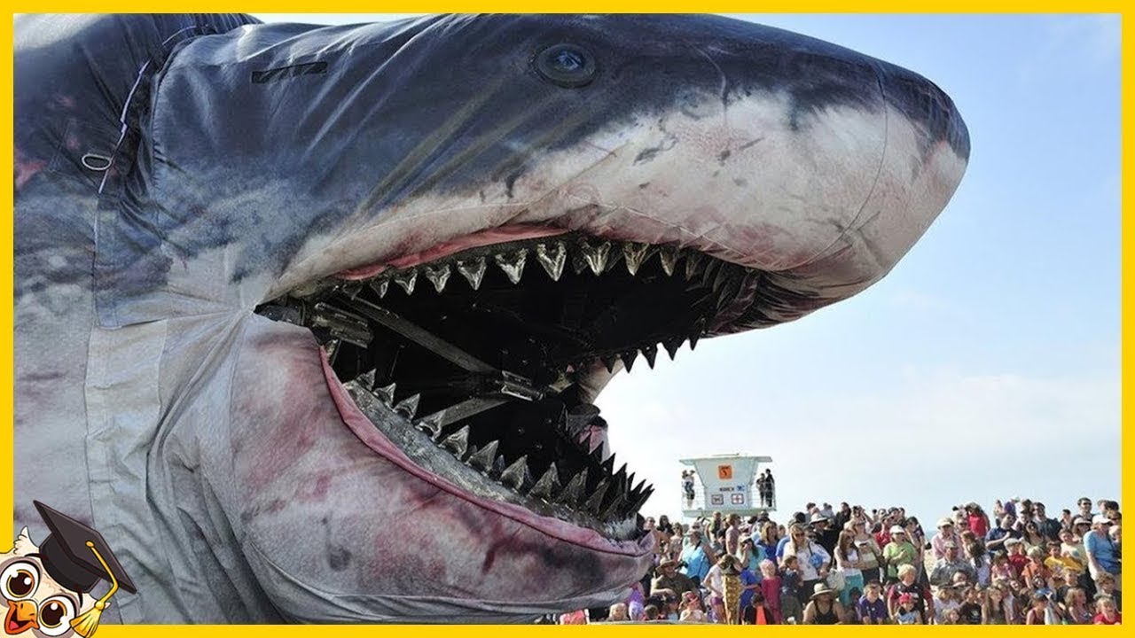 20 Maiores Animais De Todos Os Tempos