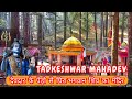 Tadkeshwar Mahadev Mandir ️ Most Peaceful Shiva Temple Hidden In Himalayas