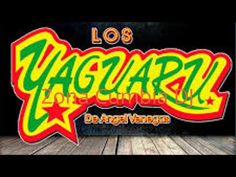 Los Yaguarú de Ángel Venegas Mix by Zona Cumbia DJ