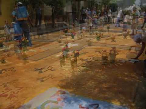 Alfombra 2009 RCCJ only