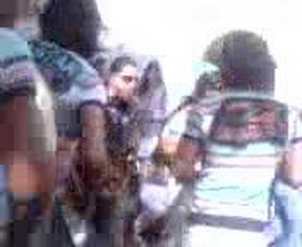 pestaloci polumaturanti 2008