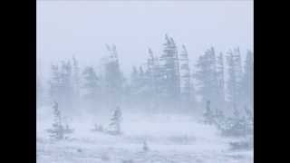 Black-Dove-(January) Live - Tori Amos