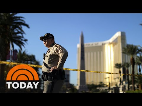 Gun-Makers Cannot Be Held Responsible For Las Vegas Shooting, Court Finds