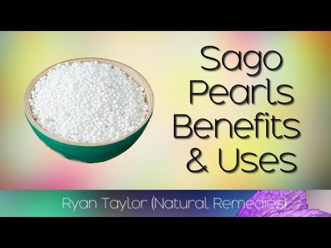 Sago: Benefits & Uses