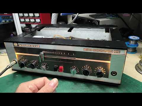 Mini Echocord completely overhauled with mods image 17