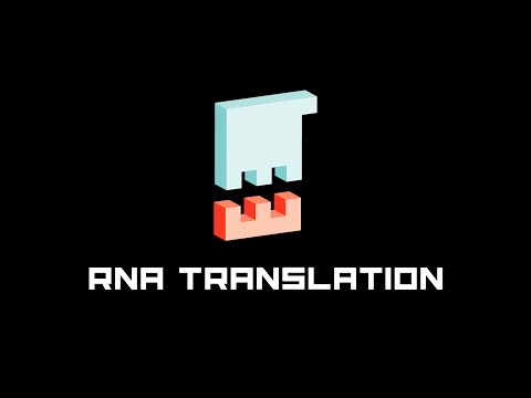 RNA Translation