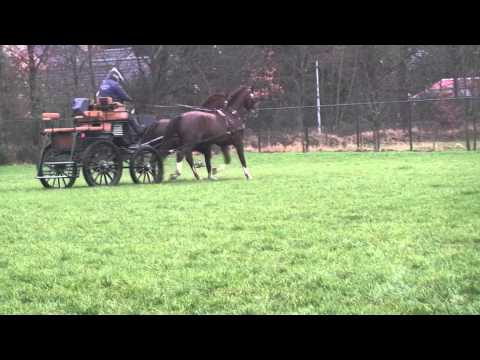 Tweespan voor info 0476 416 431