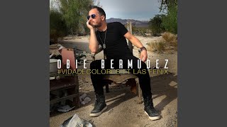 Vida de Colores (Remix Norteño) (feat. Las Fenix)