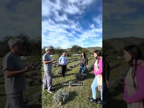 Actividades para hacer en Villa General Belgrano, Córdoba 🇦🇷 #turismo #viajes #travel