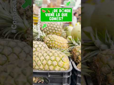 🍉🍍 ¿DE DÓNDE VIENE LO QUE COMÉS? #nicaragua #viral #parati #travel #campo #agricultura #comida