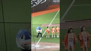 【Unigirls】 #詩詩 #YUKI #少少 @台北ドーム(台北大巨蛋) 20241012 #台湾チア #cheerdance #unigirls