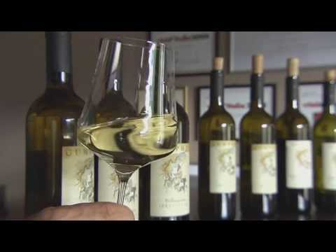 2m²: Una bottiglia di vino a New York - parte 1 (Puntata Nr.15)