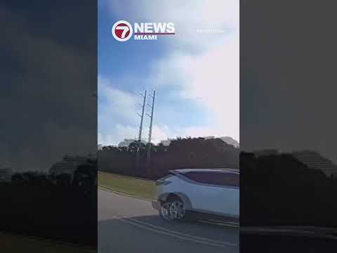 New bodycam footage shows moments before woman is detained by ICE during Florida Keys traffic stop