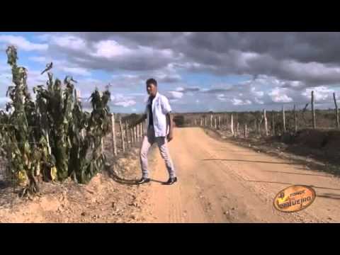 BONDE DO VAQUEIRO Companheiro