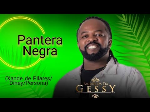 Pantera Negra - Live Xande de Pilares Pagode da Tia Gessy