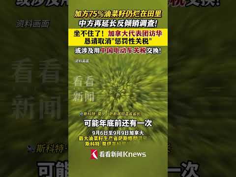 #加拿大代表团访华谈油菜籽出口 或涉及用中国电动车换油菜籽关税