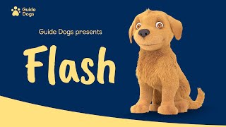 GUIDE DOGS | FLASH ANIMATION