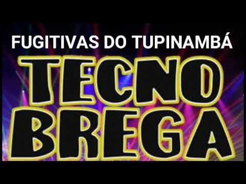 AS FUGITIVAS DO TUPINAMBÁ - MADERITO - TECNO BREGA