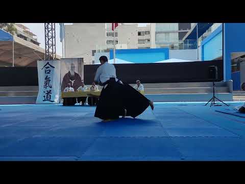 Aikido 3rd Dan test part 1
