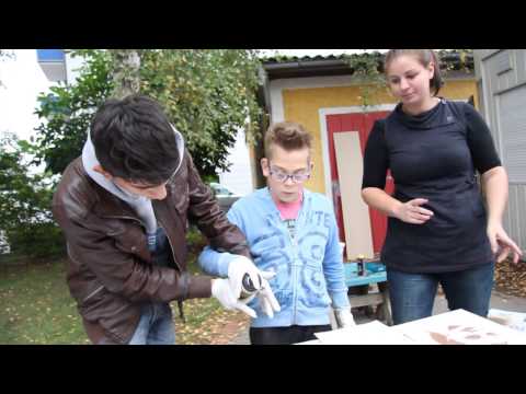 "Do kumm i her" Projektdoku