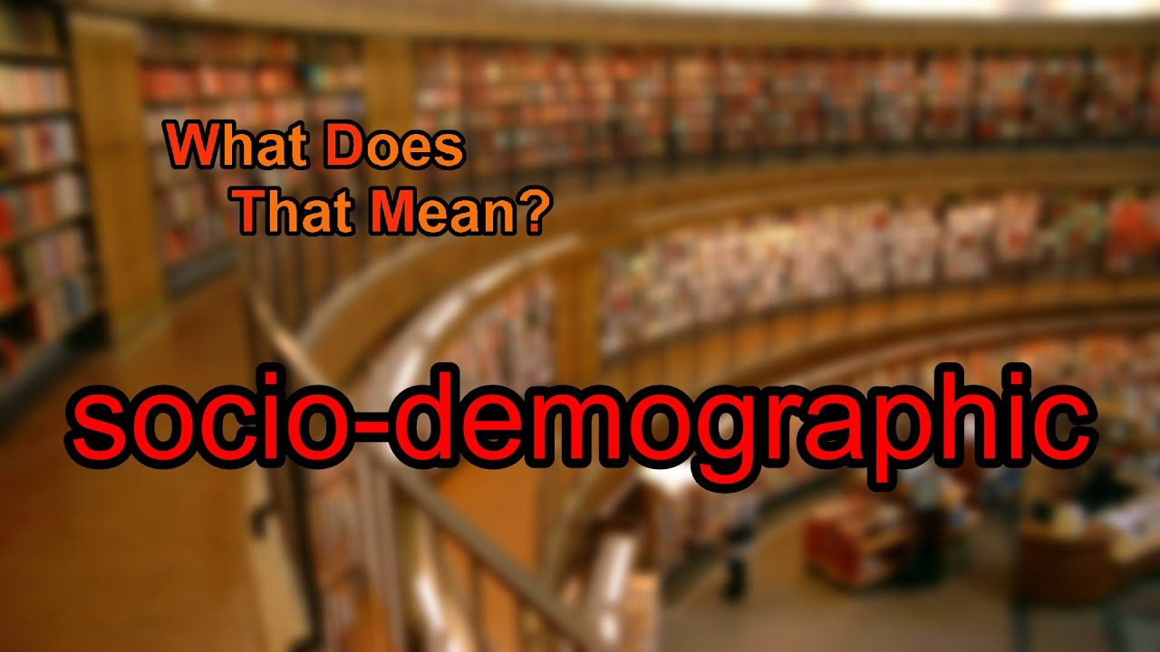 What does socio-demographic mean?