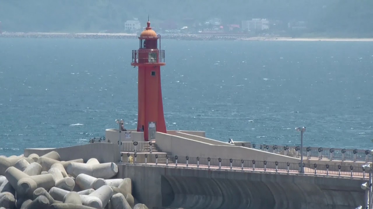 력셔리 바다구경(SEA GARDEN)