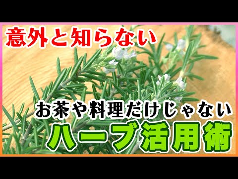 , title : '【暮らしにハーブを】アンチエイジングに抗菌に！'