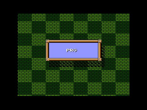 Adventures of Lolo 2 - Pro Levels