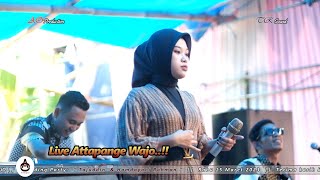 Download lagu MUACCANRINGENGA - Firdiana AO - Live in Attapange Kab. Wajo!! BUGIS ELECTONE 2023 CLARITYY!! mp3 Download lagu MUACCANRINGENGA - Firdiana AO - Live in Attapange Kab. Wajo!! BUGIS ELECTONE 2023 CLARITYY!! mp3