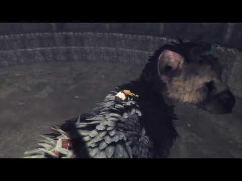 The Last Guardian: Taking a Dive (Episode 9)