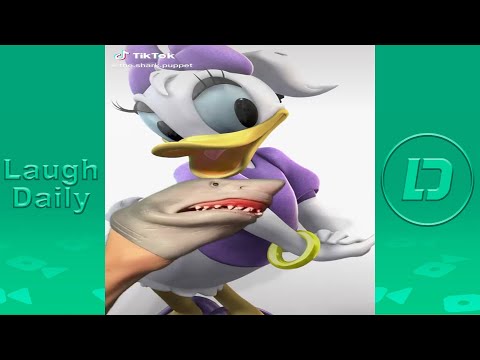 Shark Puppet Best TikTok Compilation 2020 | All Shark Puppet Funny Videos