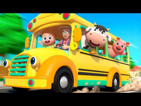 Wheels On The Bus | Bingo Song & More | Nursery Rhymes & Kids Songs | Little Meow