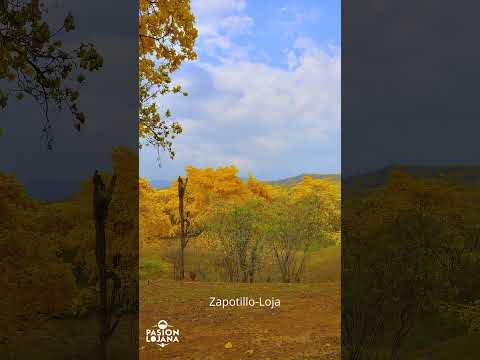 Loja-Zapotillo-Mangahurco