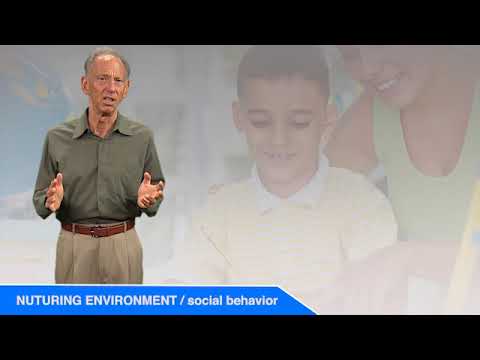 What If Parents Disagree? Creating a Nurturing Family Environment