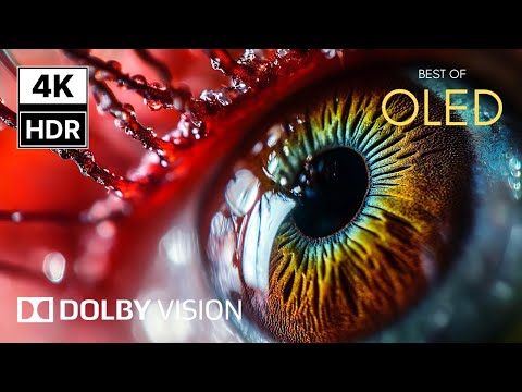 Mind-Blowing OLED Dolby Vision – 4K HDR 120FPS ULTRA HD Demo