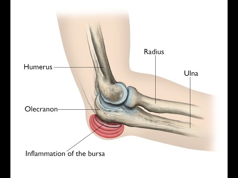 Board Exam Secrets- ANATOMY- Elbow