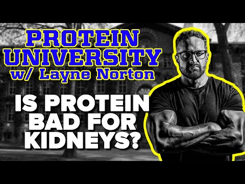 Protein University w/ Layne Norton PT. 2 - Is Protein Bad For Kidneys?