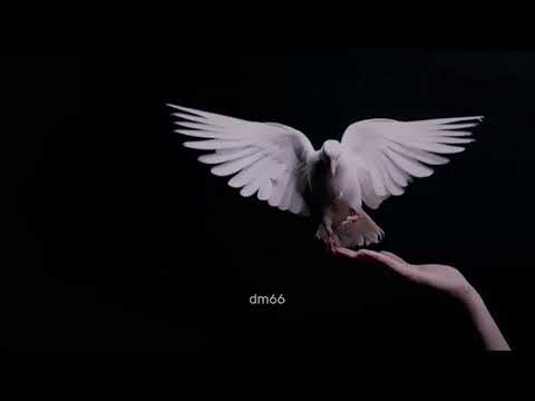 Stavroz - Wintergreen [Moodfamily]