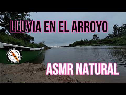 Especial lluvia y truenos en el arroyo Monje: ASMR natural y relajación profunda