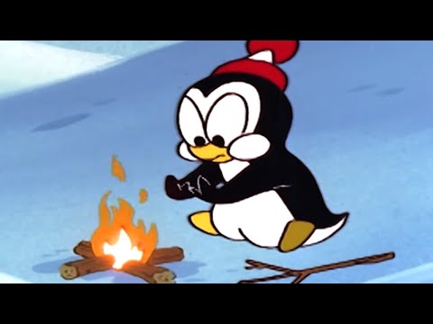 Chilly Willy en Español 🐧En peligro de extinción Chilly - Capitulos completos🐧Dibujos Animados
