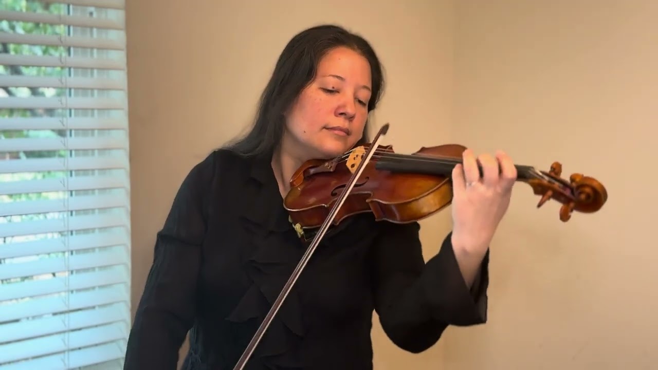Promotional video thumbnail 3 for DFW Violinist