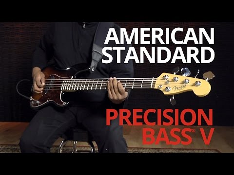 Fender 5 String Precision Bass