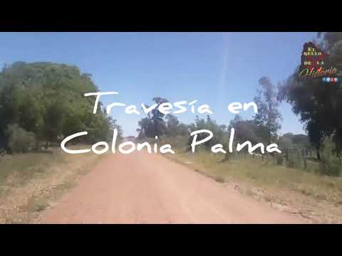 Colonia Palma - Artigas - El Sello De La Historia