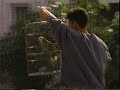 Fannie Mae Commercial